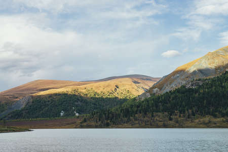 Scenic autumn landscape with mountain lake and motley mountains with forest. Colorful alpine view to shallow lake and big multicolor hills in autumn colors. Beautiful vivid mountain scenery in fall.の写真素材