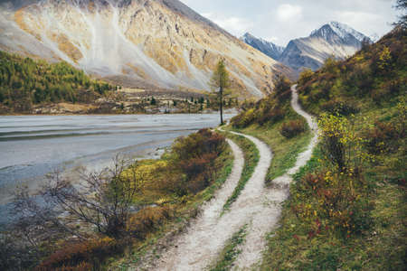 Scenic mountain landscape with footpath along water streams in motley autumn valley. Colorful autumn scenery with pathway near mountain creek and multicolor flora in mountain valley in autumn colors.の写真素材