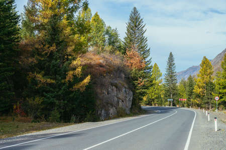 Colorful autumn landscape with larches with yellow branches along mountain highway. Coniferous forest with yellow larch trees along mountain road in autumn colors. Highway in mountains in fall time.の写真素材