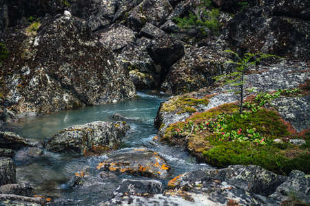 Scenic nature background of turquoise clear water stream among rocks with mosses, lichens and wild flora. Atmospheric mountain landscape with transparent mountain creek. Beautiful mountain stream.の写真素材