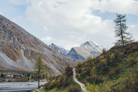 Scenic mountain landscape with footpath along water streams in motley autumn valley. Colorful autumn scenery with pathway near mountain creek and multicolor flora in mountain valley in autumn colors.の写真素材