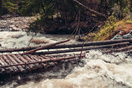 Fast turbulent river with broken bridge in water. Scenic mountain landscape with log bridge across river. Beautiful scenery with wooden bridge over mountain creek. Powerful rapids in mountain river.の写真素材