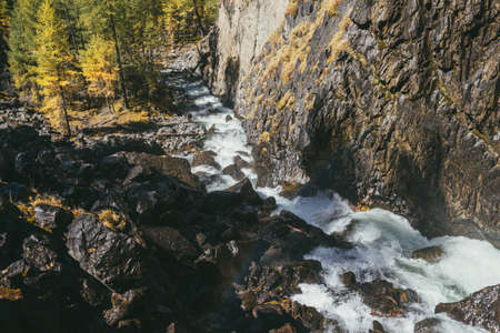 Atmospheric mountain landscape with turbulent mountain river among rocks near rocky wall in autumn time in sunshine. Beautiful alpine scenery with powerful mountain river and autumn forest in sunlightの写真素材