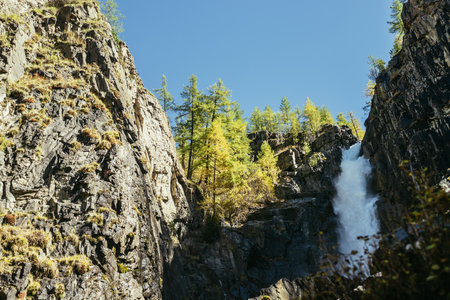 Scenic autumn landscape with vertical big waterfall and yellow trees at mountain top in sunshine. Powerful large waterfall in rocky gorge. High falling water and trees of golden colors in fall time.の写真素材