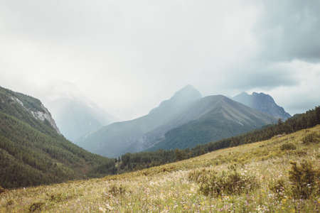 Dramatic vintage mountain landscape with forest under pointed peak among rainy low clouds. Scenic view to sharp mountain pinnacle under cloudy sky in overcast weather in sepia tones. Mountains sceneryの写真素材