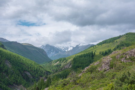 Atmospheric green landscape with sunlit forest hills and high snow mountains âin low clouds. Beautiful mountain valley in sunlight and large snow mountain range under cloudy sky in changeable weather.の写真素材
