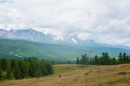 Traveling man in red with big backpack on way to snowy mountain range in low clouds. Backpacker walks through forest to large mountains under cloudy sky. Dramatic landscape with tourist in mountains.の写真素材