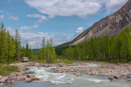 Beautiful mountain river among larches in sunny forest valley under cloudy sky. Car among sunlit coniferous trees in valley of Aktru river. Russia, Altai Republic, Aktru mountain camp, 01 July, 2021.のeditorial素材