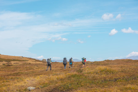 Several tourists with large backpacks and trekking poles follow route somewhere in Altai mountains. Group of people with big backpacks in autumn mountain hike. Russia, Altai Republic, 26 August, 2021.のeditorial素材