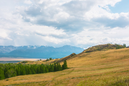 Dramatic alpine view from forest hills to high snow mountain range in sunlight during rain in changeable weather. Green forest and sunlit steppe against large snowy mountains under cloudy sky in rain.の写真素材