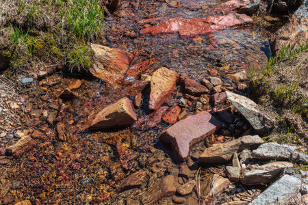 Sharp stone in clear water stream with motley stony bottom in sunlight. Colorful mountain stream with mineral water in bright sun. Picturesque top view to sunlit multicolor stones in spring water.の写真素材
