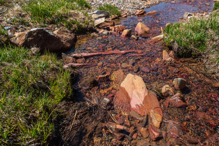 Sharp stone in clear water stream with motley stony bottom in sunlight. Colorful mountain stream with mineral water in bright sun. Picturesque top view to sunlit multicolor stones in spring water.の写真素材