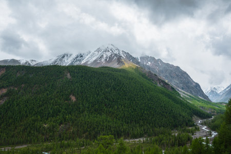 Dark atmospheric landscape with forest snow mountain in low clouds. Gloomy overcast scenery with high mountains with forest and snow under low lead gray sky. Bleak view to large snowy mountain peak.の写真素材