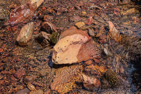 Sharp stone in clear water stream with motley stony bottom in sunlight. Colorful mountain stream with mineral water in bright sun. Picturesque top view to sunlit multicolor stones in spring water.の写真素材