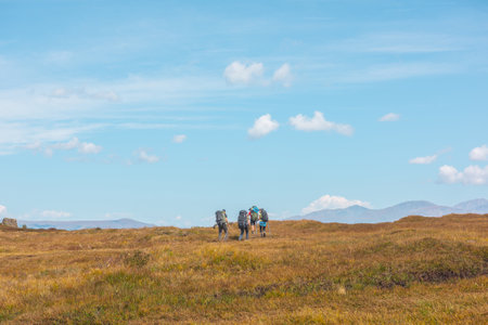 Several tourists with large backpacks and trekking poles follow route somewhere in Altai mountains. Group of people with big backpacks in autumn mountain hike. Russia, Altai Republic, 26 August, 2021.のeditorial素材