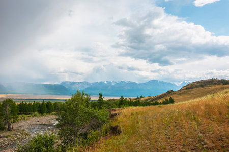 Dramatic alpine view from forest hills to high snow mountain range in sunlight during rain in changeable weather. Green forest and sunlit steppe against large snowy mountains under cloudy sky in rain.の写真素材