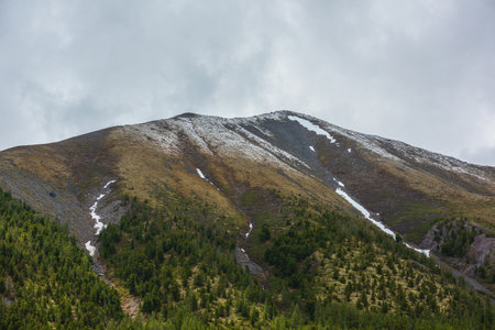 Atmospheric landscape with sunlit high green mountain with snow under gray cloudy sky. Scenic view to large green forest mountain with mossy bald top with snow under rainy clouds at changeable weatherの写真素材