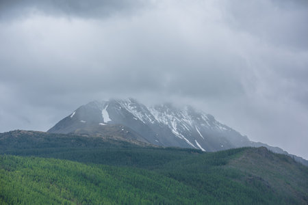 Simple atmospheric rainy landscape with sunlit green forest on mountainside and snowy mountain top among gray low clouds. Bleak overcast scenery with snow mountain peak under gloomy gray cloudy sky.の写真素材