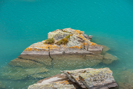 Stone with grass and lichens in azure transparent water of mountain lake. Fragment of meditative lake with lichen rock. Scenic nature background of relaxing shiny ripples on calm water of alpine lake.の写真素材