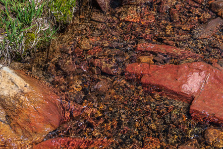 Sharp stone in clear water stream with motley stony bottom in sunlight. Colorful mountain stream with mineral water in bright sun. Picturesque top view to sunlit multicolor stones in spring water.の写真素材