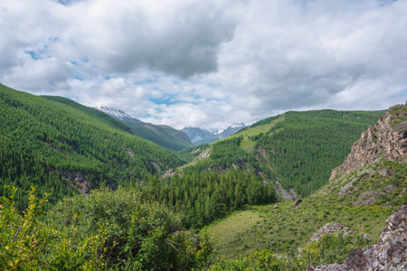 Atmospheric green landscape with sunlit forest hills and high snow mountains âin low clouds. Beautiful mountain valley in sunlight and large snow mountain range under cloudy sky in changeable weather.の写真素材