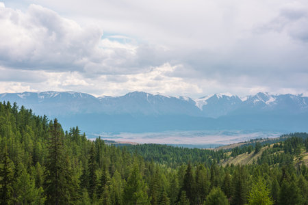 Dramatic mountain landscape with green coniferous forest hills and high snowy mountain range under rainy cloudy sky. Atmospheric aerial view to conifer forest and large snow mountains in overcast.の写真素材