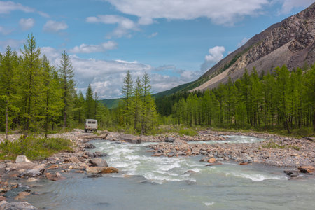 Beautiful mountain river among larches in sunny forest valley under cloudy sky. Car among sunlit coniferous trees in valley of Aktru river. Russia, Altai Republic, Aktru mountain camp, 01 July, 2021.のeditorial素材