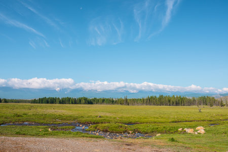 Scenic landscape with creek against forest and large snowy mountain range in low clouds in bright sun under blue sky. Colorful green scenery with high snow-white mountains in low clouds in sunny day.の写真素材