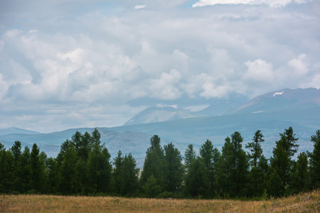 Dramatic landscape with coniferous forest and large mountains under cloudy sky. Atmospheric scenery with forest line against high mountain range in overcast. Scenic view to green forest and hills.の写真素材