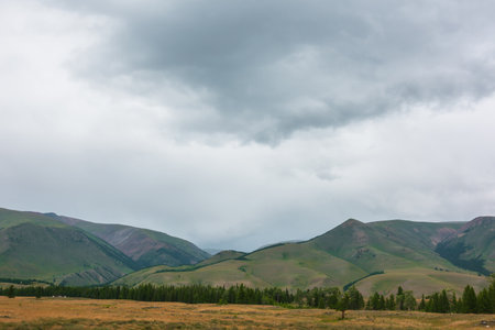 Dramatic view to coniferous forest and high mountain range under cloudy sky. Atmospheric landscape with green forest and hills against large mountains under cloudy sky. Beautiful mountains in overcastの写真素材