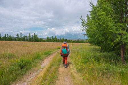 Traveling man in red with big backpack on way to high mountain range in low clouds. Backpacker walks through forest to large mountains under cloudy sky. Dramatic landscape with tourist in mountains.の写真素材