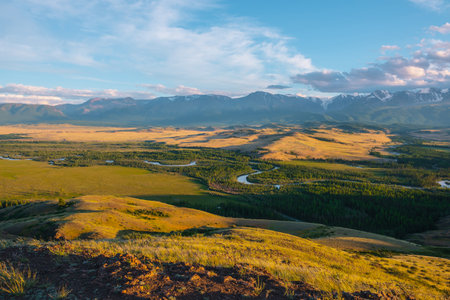 Scenic sunny view from sunlit grassy hill to forest valley with serpentine river against high snowy mountain range in sunlight. Beautiful snake mountain river in forest and snow mountains in sunshine.の写真素材
