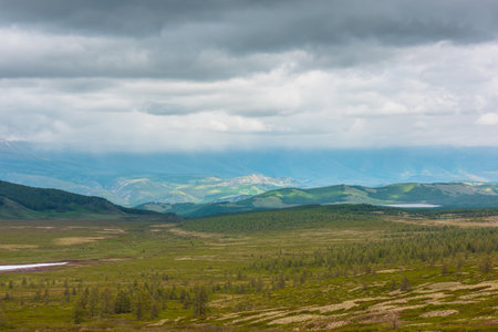 Scenic landscape with sunlit moss plateau with coniferous small trees and forest on hill with view to green vastness in rainy low clouds. Spectacular view to mossy tableland at changeable weather.の写真素材