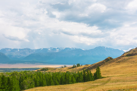 Dramatic alpine view from forest hills to high snow mountain range in sunlight during rain in changeable weather. Green forest and sunlit steppe against large snowy mountains under cloudy sky in rain.の写真素材