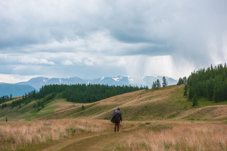 Tourist walks through hills and forest towards bad weather. Hiker on way to large snow mountain range under rainy cloudy sky. Man in raincoat in mountains in overcast. Traveler goes towards adventure.の写真素材