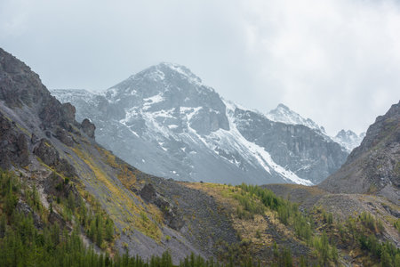 High mossy mountains with trees against large snowy mountain top with sharp rocks in rainy low clouds. Dramatic view to forest mountainside and snow mountains in gray cloudy sky in changeable weather.の写真素材