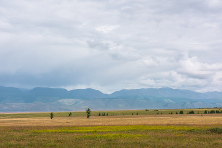 Dramatic alpine view to sunlit steppe and somber large mountains in low clouds during rain. Gloomy mountain landscape with bleak mountain range in rain and steppe in sunlight in changeable weather.の写真素材
