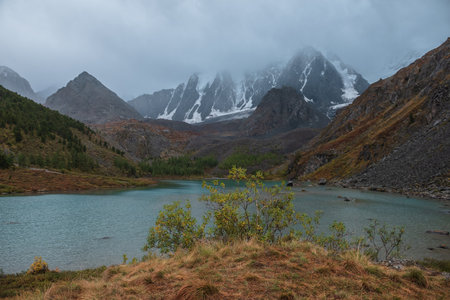 Gloomy view from grassy hill with small tree to alpine lake and snow mountain range in overcast. Mountain lake against large snowy mountains under gray cloudy sky. Fading autumn colors in mountains.の写真素材