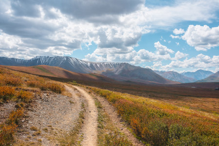 Motley autumn landscape with hiking trail on sunlit high plateau toward snowy mountain range under cloudy sky. Vivid autumn colors in mountains. Sunlight and shadows of clouds in changeable weather.の写真素材