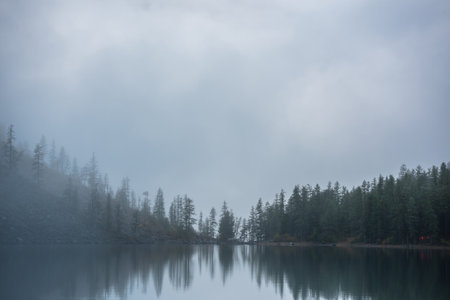 Tranquil meditative misty scenery of glacial lake with pointy fir tops reflection at early morning. Graphic EQ of spruce silhouettes on calm alpine lake horizon in mystery fog. Ghostly mountain lake.の写真素材