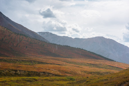 Dramatic landscape with multicolor mountains in faded autumn colors under bleak gray cloudy sky during rain. Nature background of downpour drops close-up. Motley autumn rainy overcast mountain sceneryの写真素材