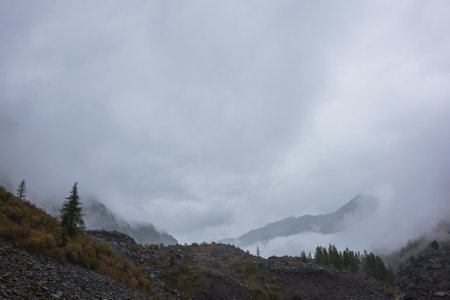 Dark atmospheric landscape with stone hill with forest and silhouette of mountain range in dense fog in rainy weather. Coniferous trees on rocky hills and black rocks in thick low clouds during rain.の写真素材