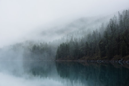 Tranquil atmospheric scenery with turquoise mountain lake and coniferous trees silhouettes in dense fog. Pure alpine lake in mystery thick fog. Calm glacial lake and forest edge in misty early morningの写真素材