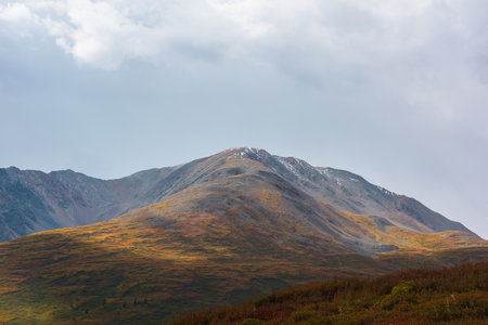 Scenic motley autumn landscape with sunlit mountain top under gray dramatic cloudy sky. Vivid autumn colors in mountains. Multicolor high hill in sunlight with shadows of clouds in changeable weather.の写真素材