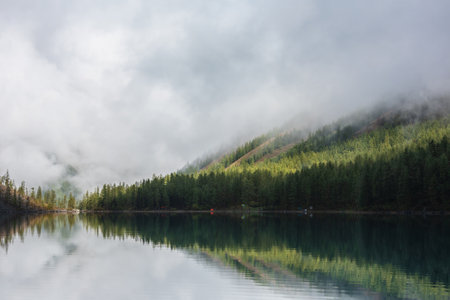 Tranquil misty meditative scenery of glacial lake with forest hill under thick low clouds. Coniferous trees on hillside reflected in calm alpine lake. Mountain lake and dense fog at early morning.の写真素材