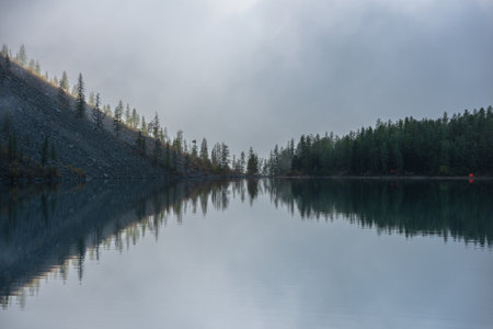 Tranquil meditative misty scenery of glacial lake with pointy fir tops reflection at early morning. Graphic EQ of spruce tops in golden sunlight on alpine lake horizon in mystery fog. Mountain lake.の写真素材