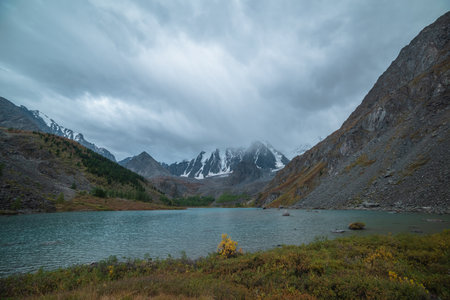 Motley autumn shrubs with view to alpine lake and snow mountain range in overcast. Mountain lake against large snowy mountains under gray cloudy sky. Fading autumn colors in high mountains during rainの写真素材
