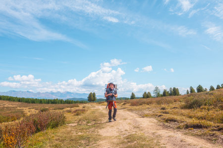Alone traveler with large backpack walks along hiking trail on sunlit high mountain plateau under white clouds in blue sky. Backpacker with photo camera in autumn mountain trekking in good weather.の写真素材