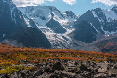 Red thickets on sunlit pass with view to large snow mountain range with glaciers and icefalls in autumn sunny day. Vivid autumn colors in high mountains. Motley hill and snowy mountains in bright sun.の写真素材