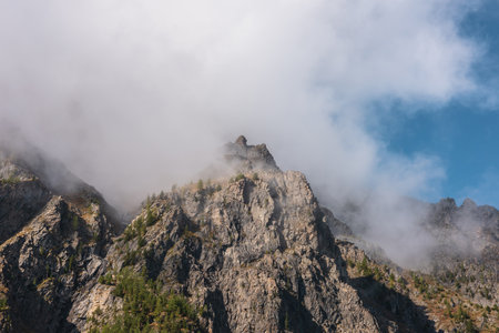 Misty autumn landscape with coniferous trees on sunlit sharp rocks and pointy peak in low clouds. Fading autumn colors in high mountains. Firs on rocky mountain with peaked top in foggy sunny morning.の写真素材